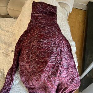 Express Red Turtleneck Sweater